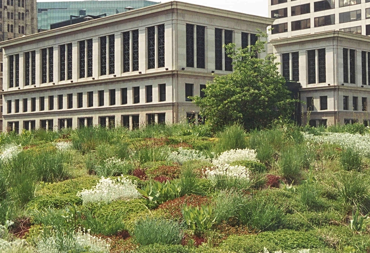 Critical Revisions to the Chicago Sustainable Development Policy