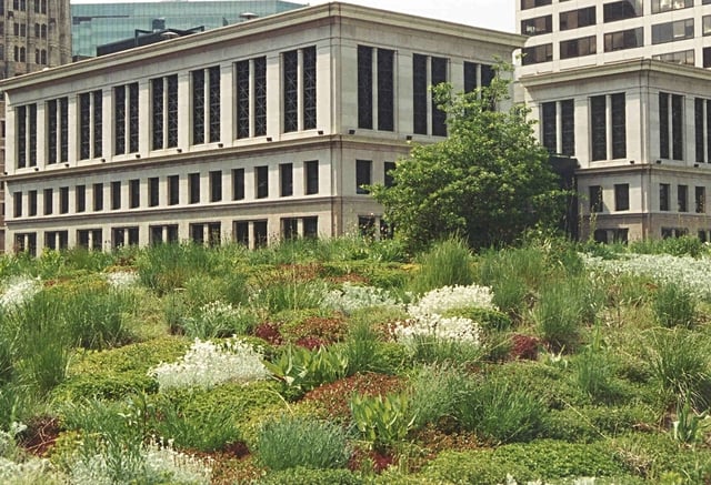 Chicago-City-Hall_Green-Roof.jpg