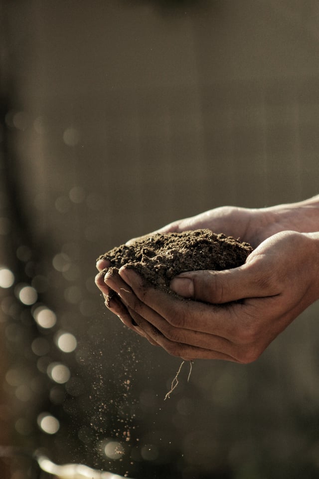 Hands-holding-pile-of-soil.jpg