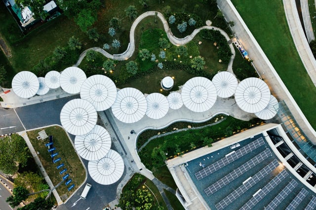 solar-panels-on-roof-with-greenery